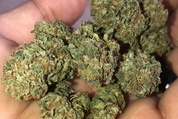 На сайте кракен пропал пользователь