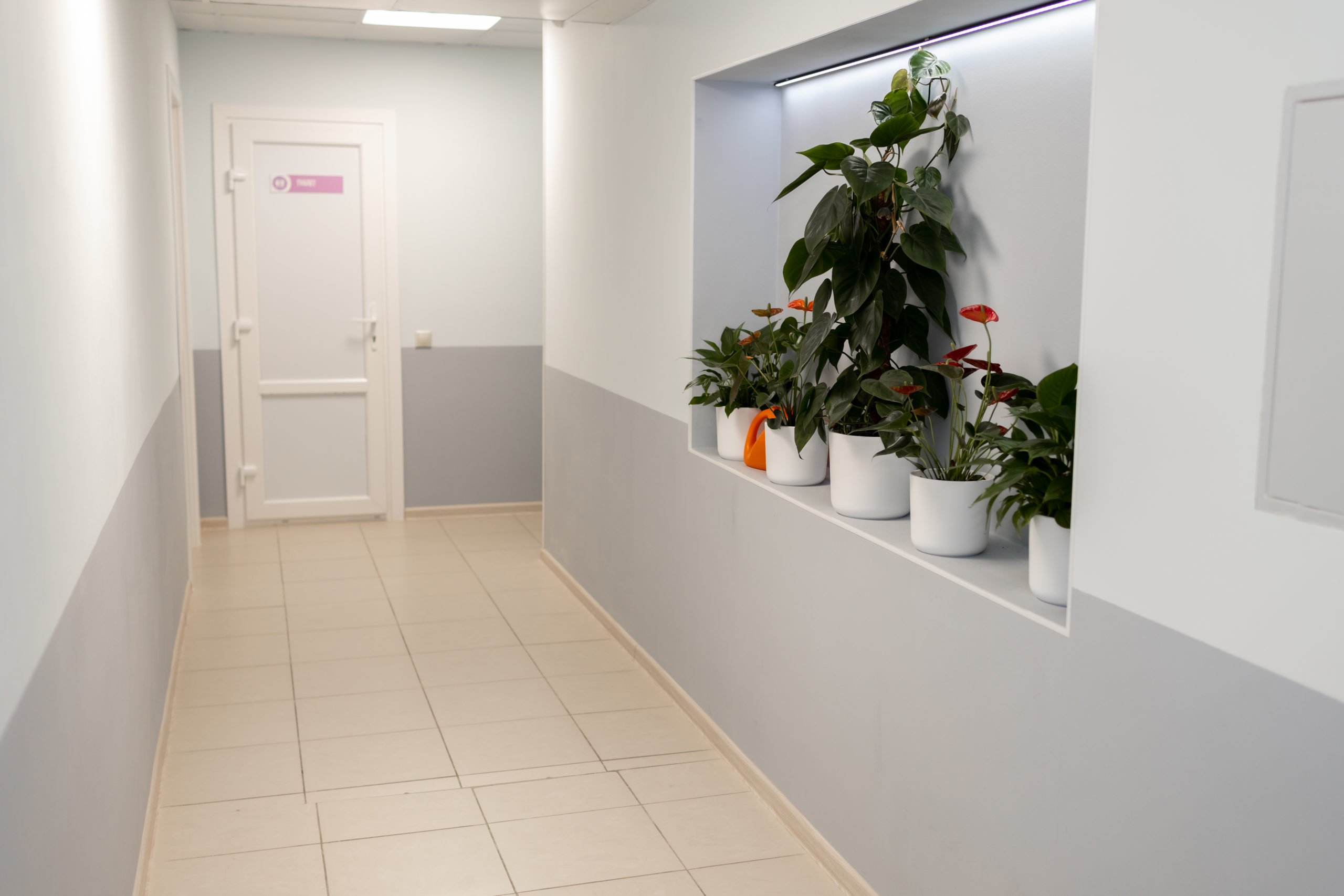 Почему не могу зайти на кракен